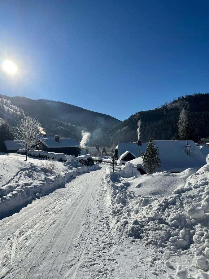 Frein Chalets - Wildalm Frein an der Murz Exterior foto