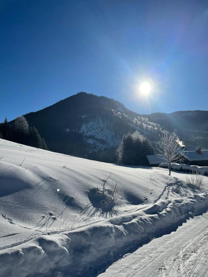 Frein Chalets - Wildalm Frein an der Murz Exterior foto