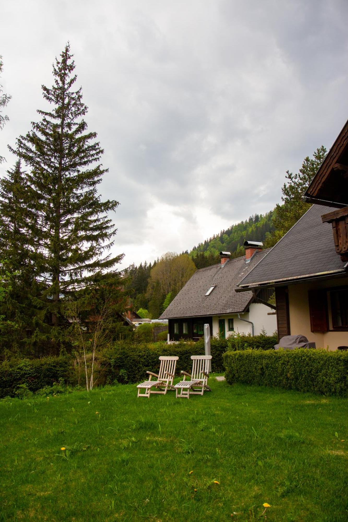 Frein Chalets - Wildalm Frein an der Murz Exterior foto